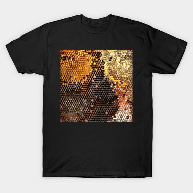 Honeycomb with pollen T-Shirt by WesternExposure